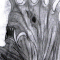 ANIMA - di Dark Red XIII