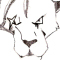 RED XIII - di Dark Red XIII