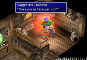 Il saggio dei Chocobo