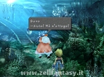 Quina: "Aiuto! Mò m'affogo!"