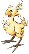 Chocobo